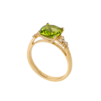 Anel Ouro Amarelo 19K